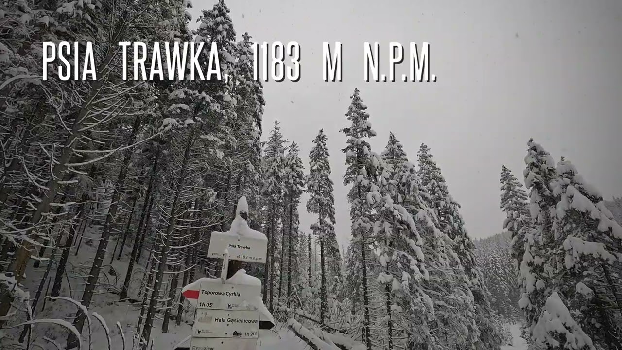Skitura na Gęsią Szyję, 20.01.2023