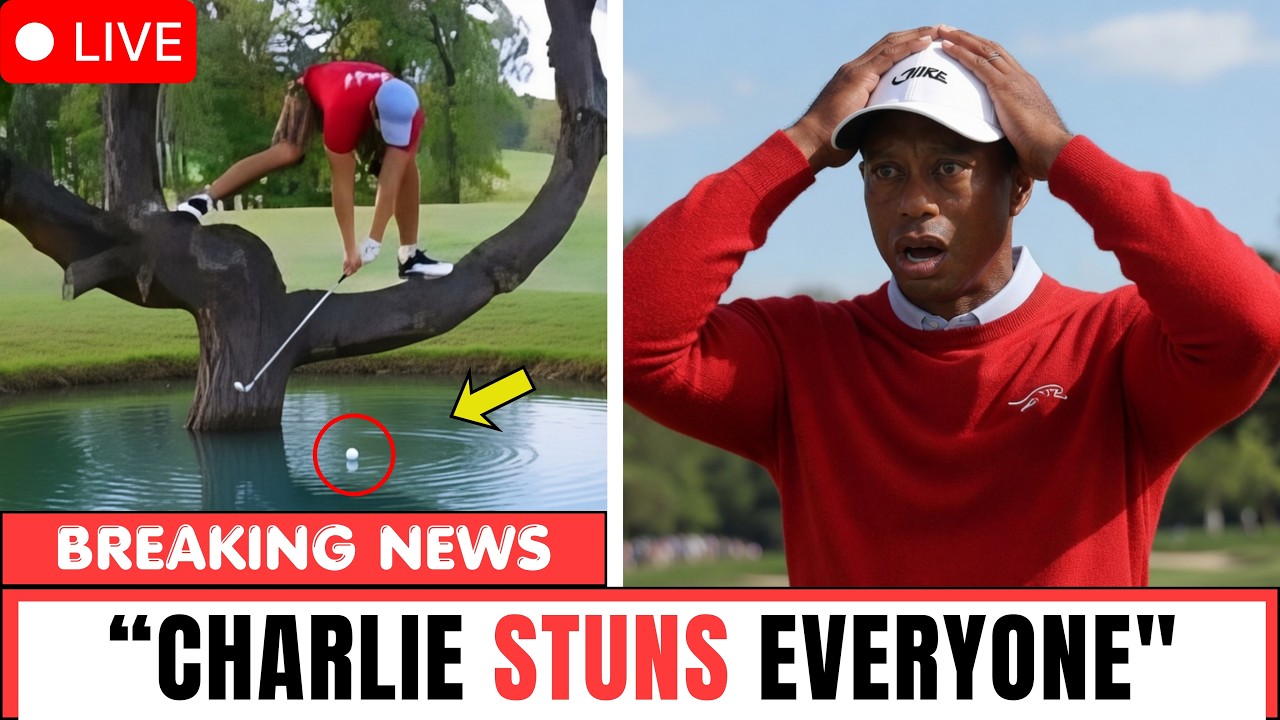 🚨 Charlie Woods&rsquo; Shot Was So Good It Felt Fake&hellip; Golf World Still Recovering #golfalmaximo