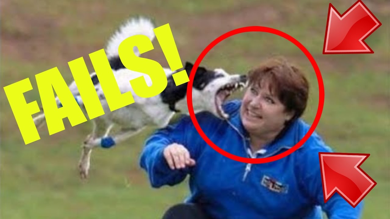 FAIL COMPILATION 2017!!! PAINFUL😂😃