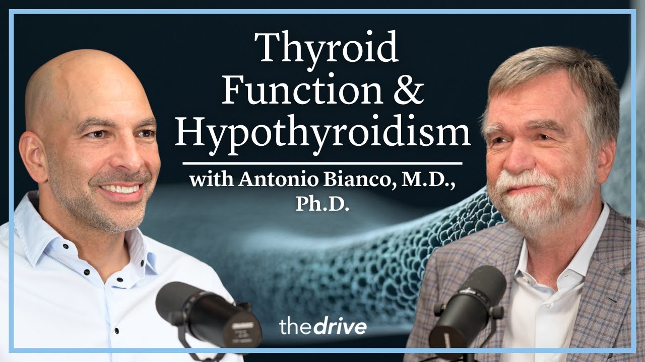 373 – Thyroid function & hypothyroidism: how new approaches are transforming care