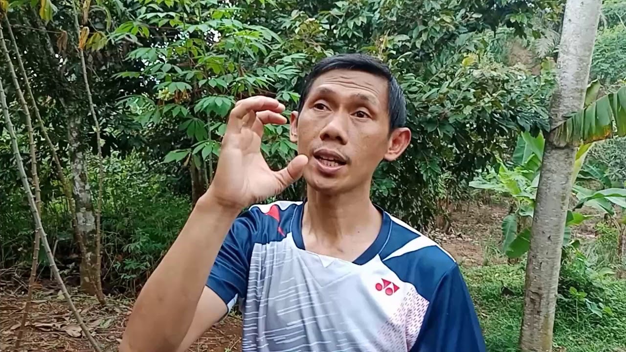 Di jual tanah kebun Rp. 35 rb/m2, cocok buat kebun durian, dll