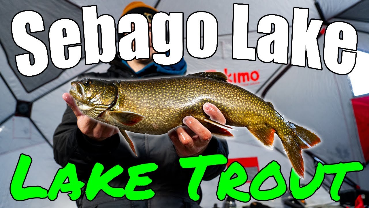 Ice fishing SEBAGO LAKE for BIG LAKE TROUT