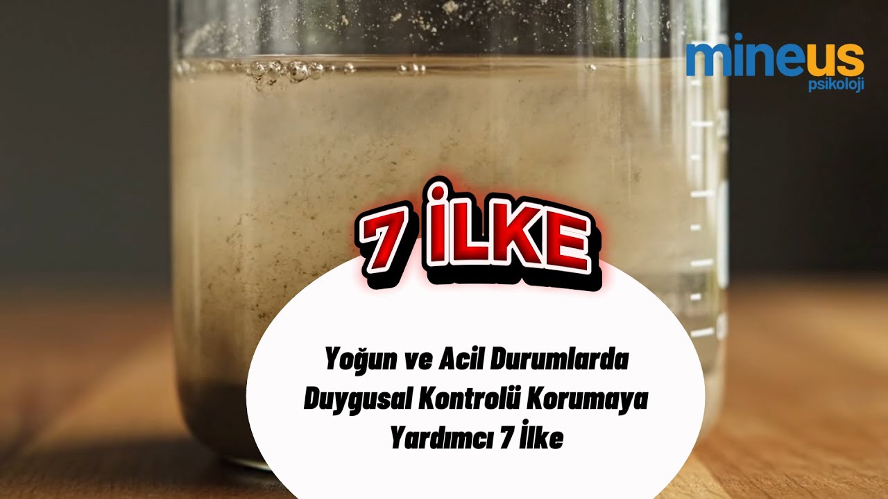 Yoğun ve Acil Durumlarda Duygusal Kontrol | Mineus Psikoloji – Psikolojik Sağlamlık Sırları