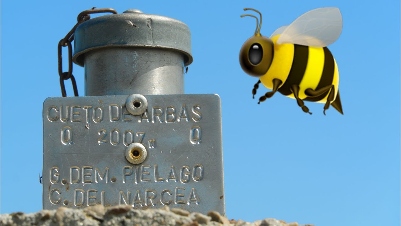 (4K) Summiting the highest mountain in Cangas del Narcea: Cueto de Arbas 🐝🐂⛰🥾