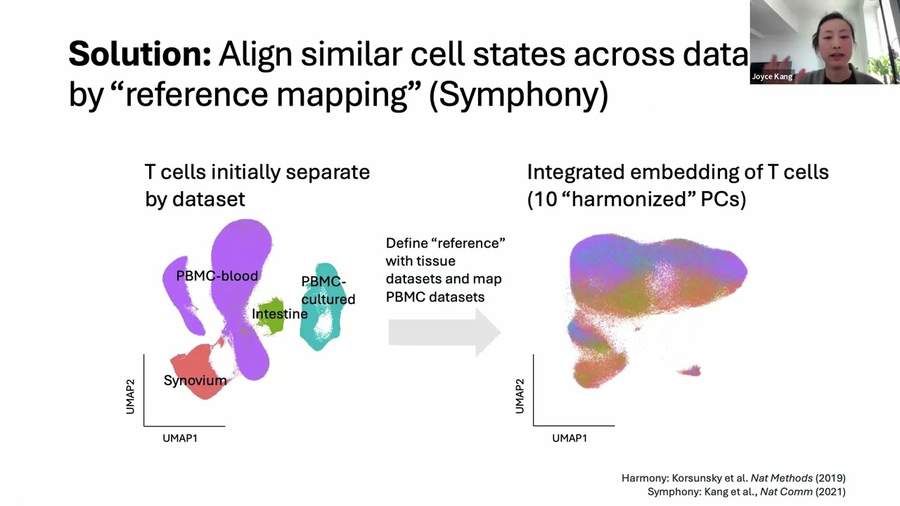 Mapping the dynamic genetic regulatory architecture of HLA genes @ single-cell resolution-Joyce Kang