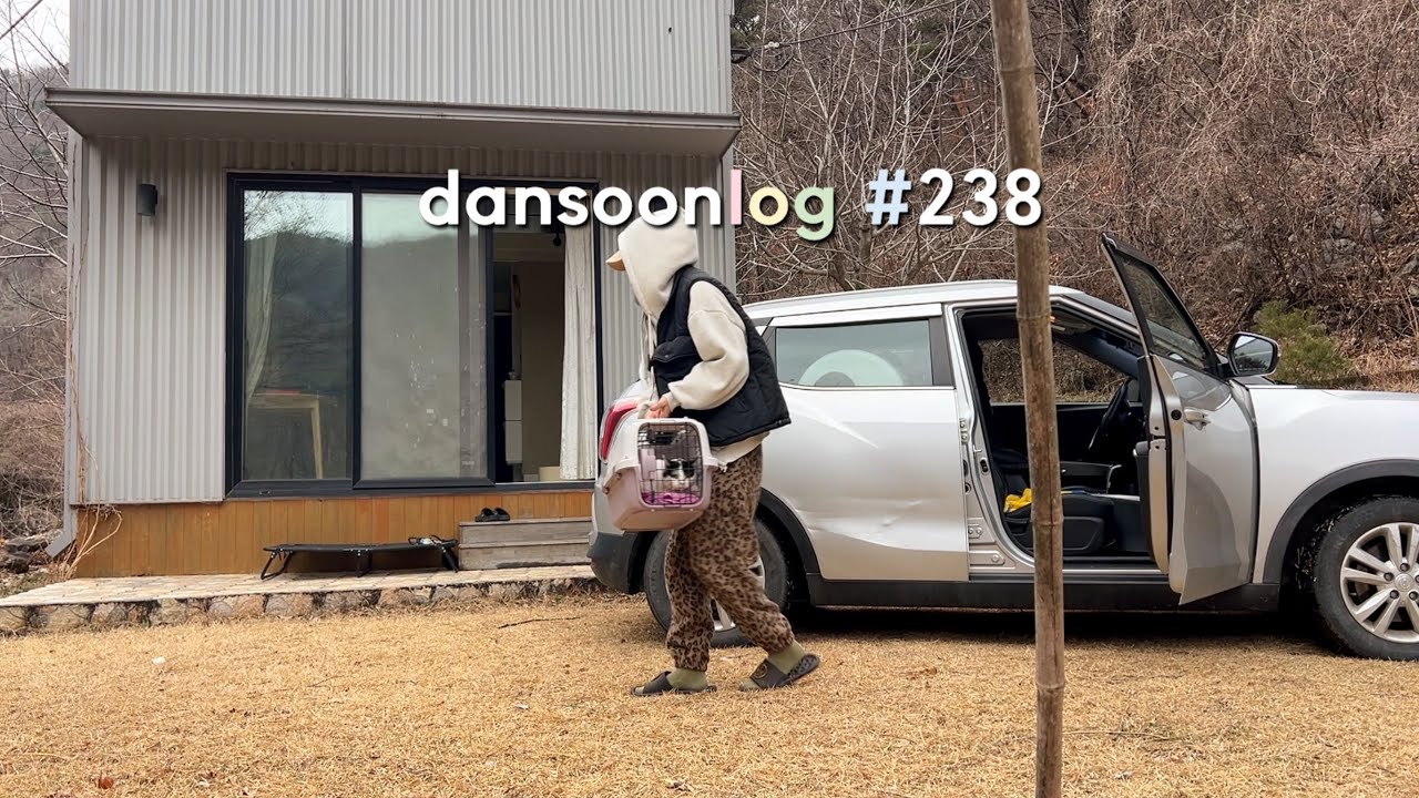 SUB 단순로그238 한달 만에 집에 가면 생기는 일 vlog