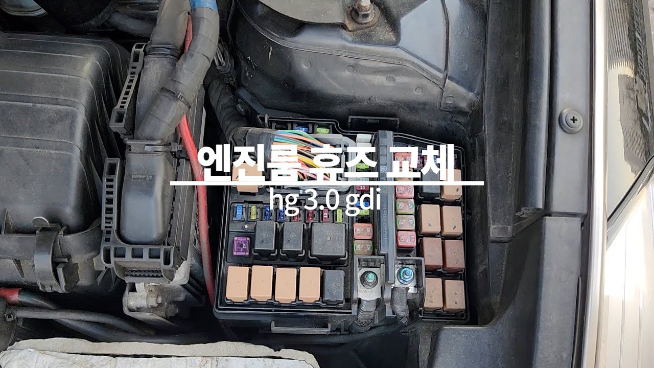 엔진룸 퓨즈 교체