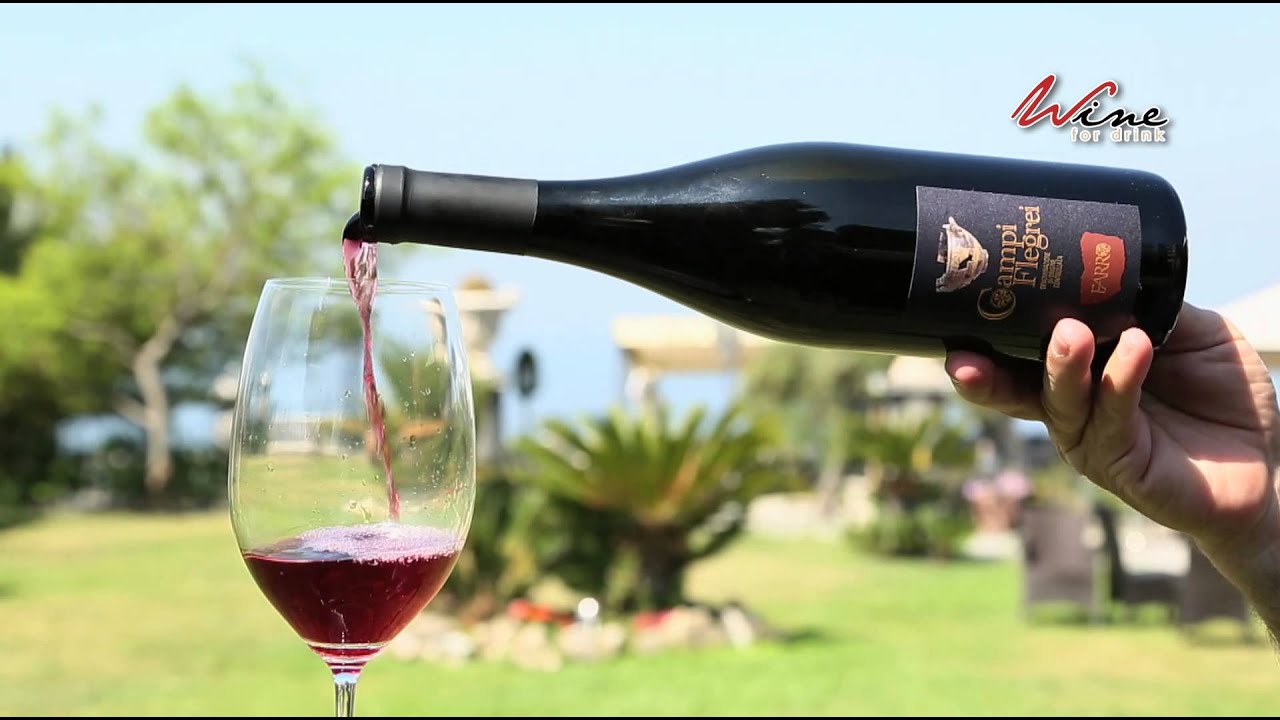DocuWine | Piedirosso dei Campi Flegrei DOC - Cantine Farro