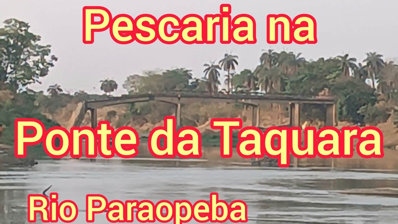 pescaria no rio Paraopeba. foi de cortar o coração! olha como está o nível da água!