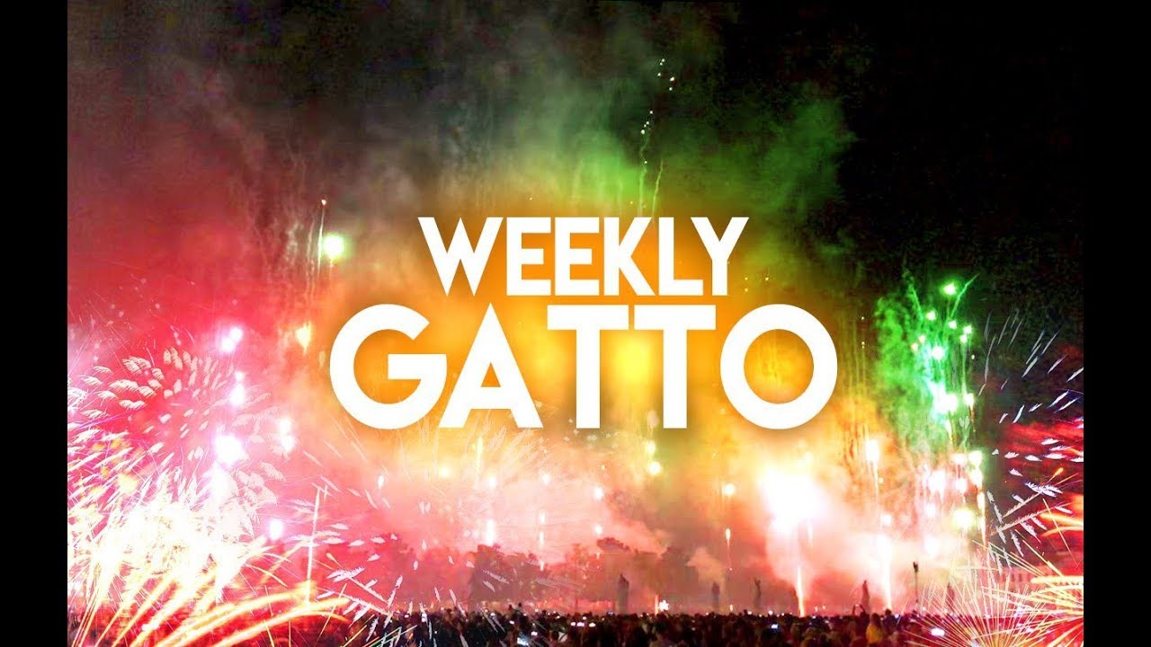 Weekly Gatto - Riposo Condizionato