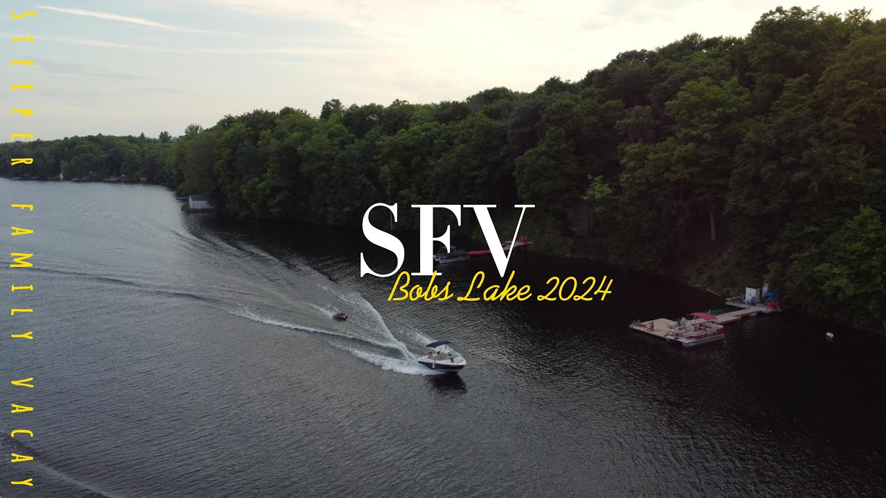 SFV 2024