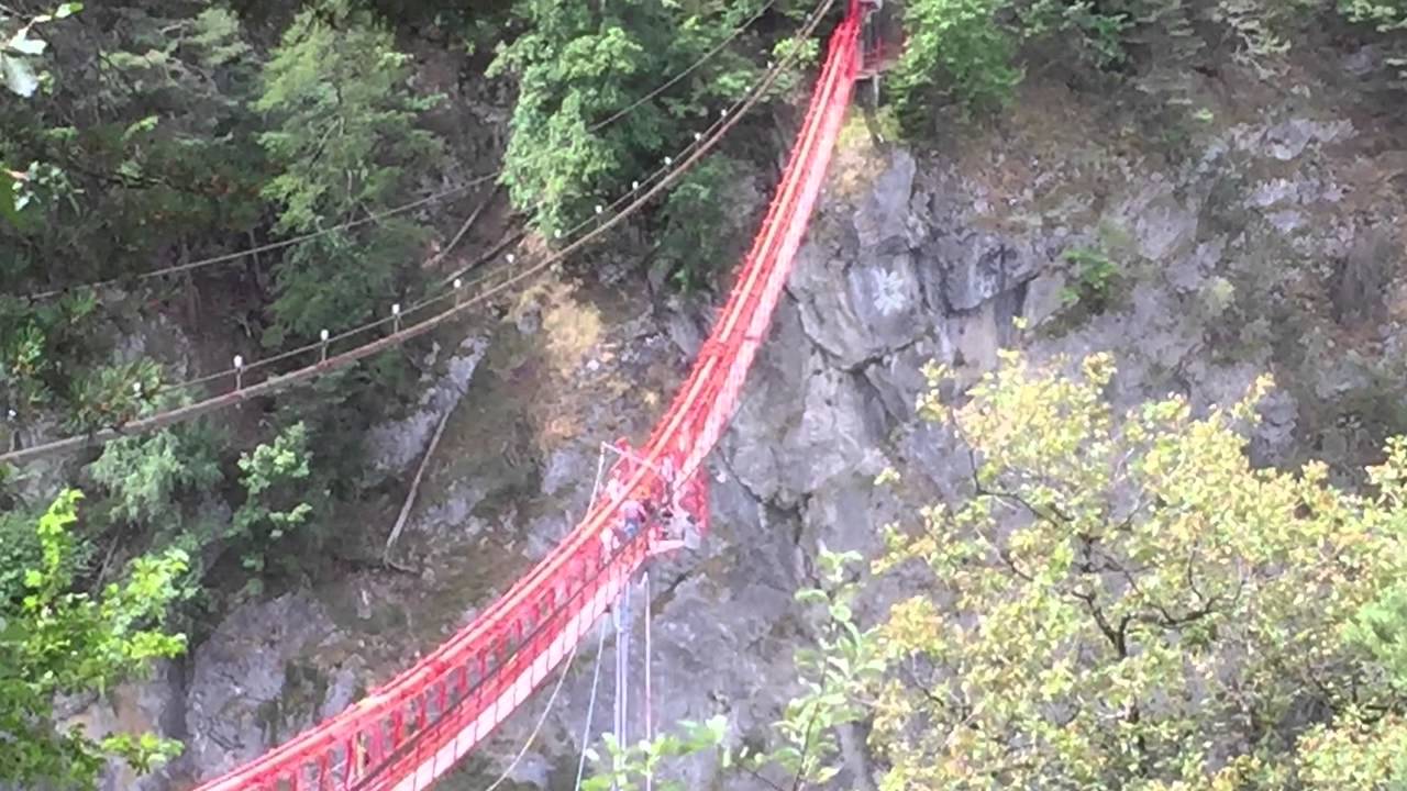 Bungy Niouc