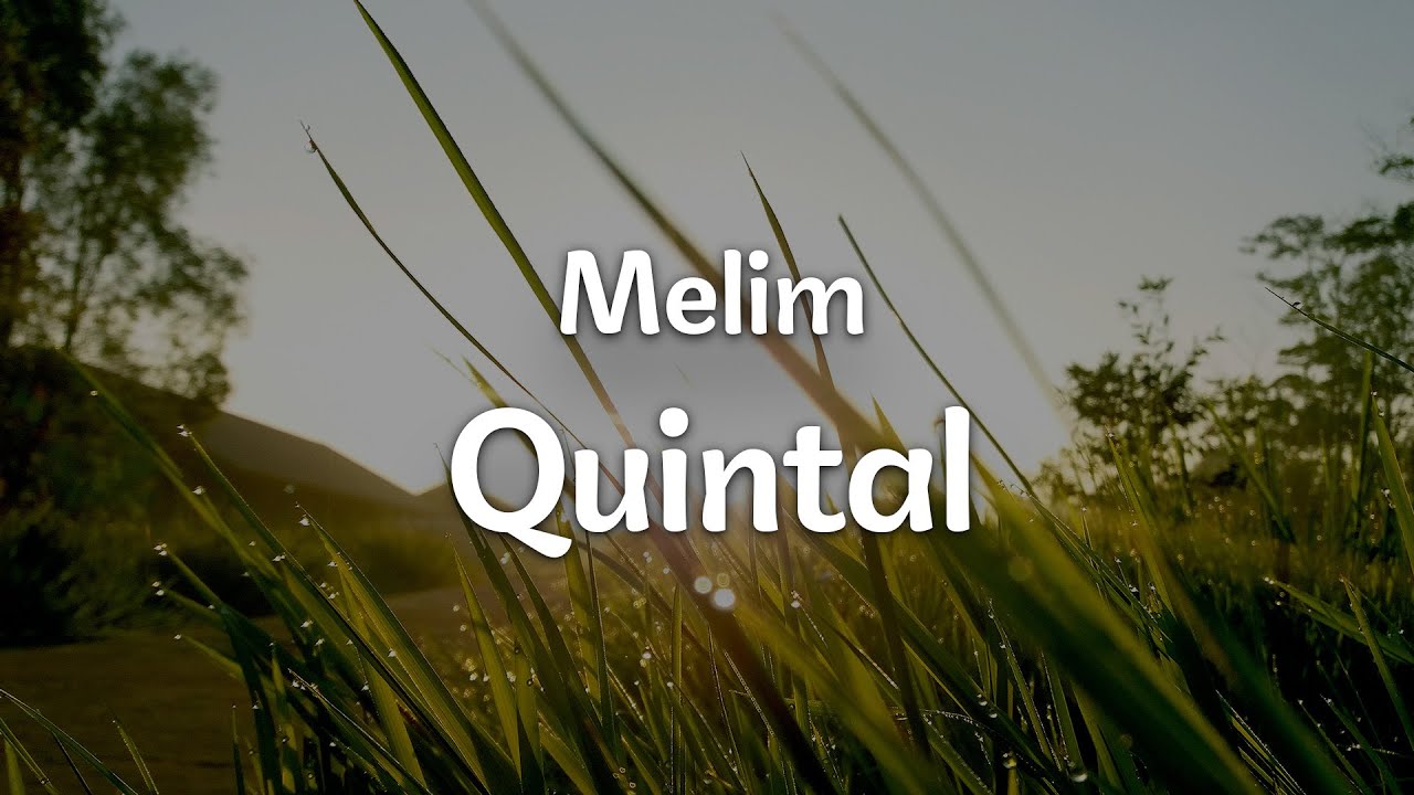 Melim - Quintal (Letra/Lyrics) | Official Music Video