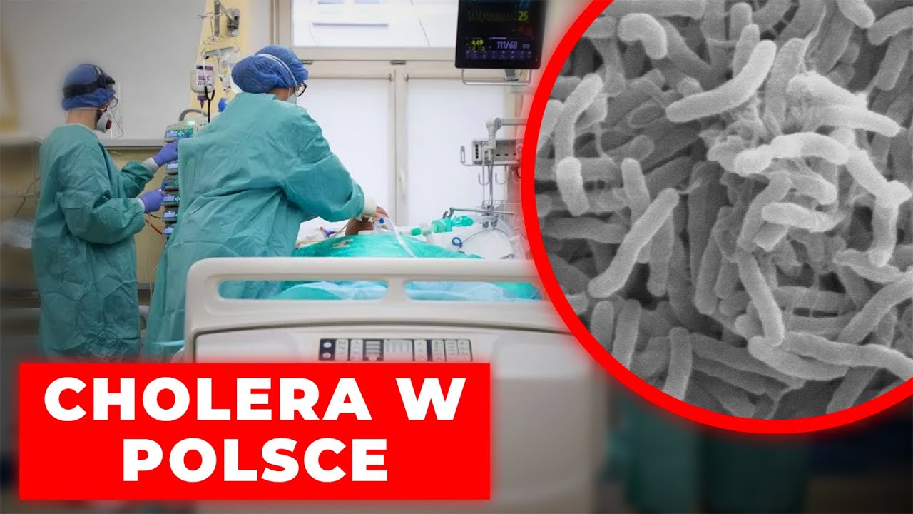Cholera wykryta u seniorki w Stargardzie! Co wiemy? | NEWS