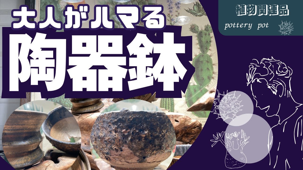 塊根植物が映える！厳選の陶器鉢3選