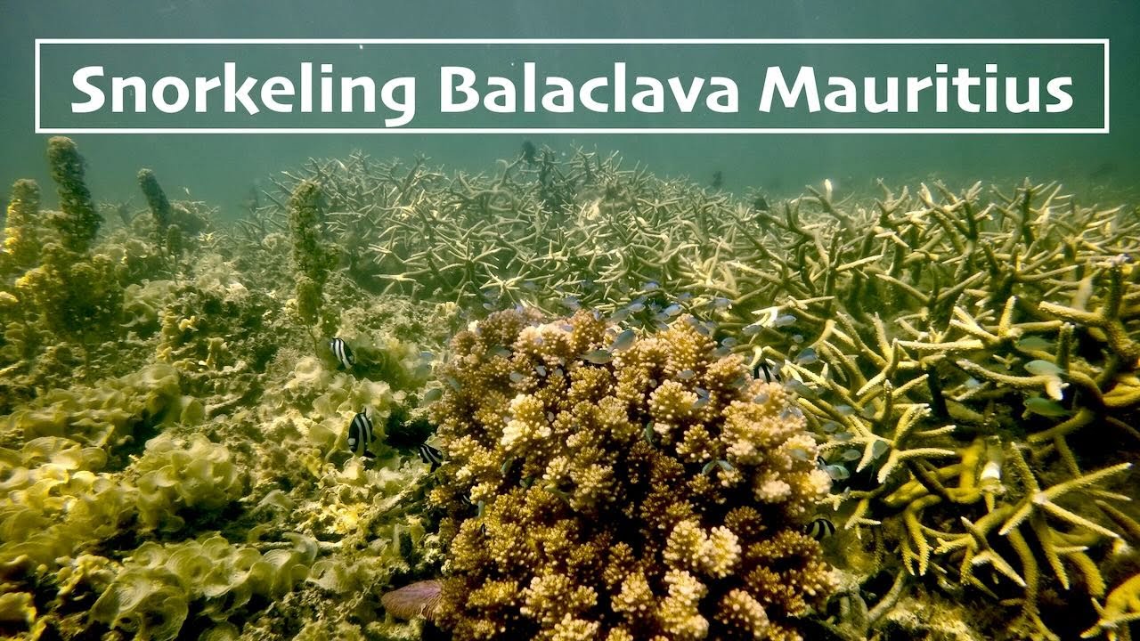 Snorkeling Review - Balaclava, Mauritius