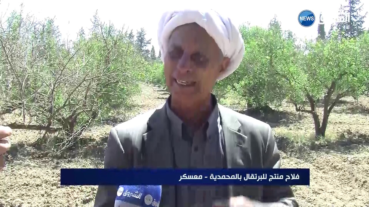 #معسكر| منتجو الحمضيات بالمحمدية يطالبون بسلت سد فرقوق