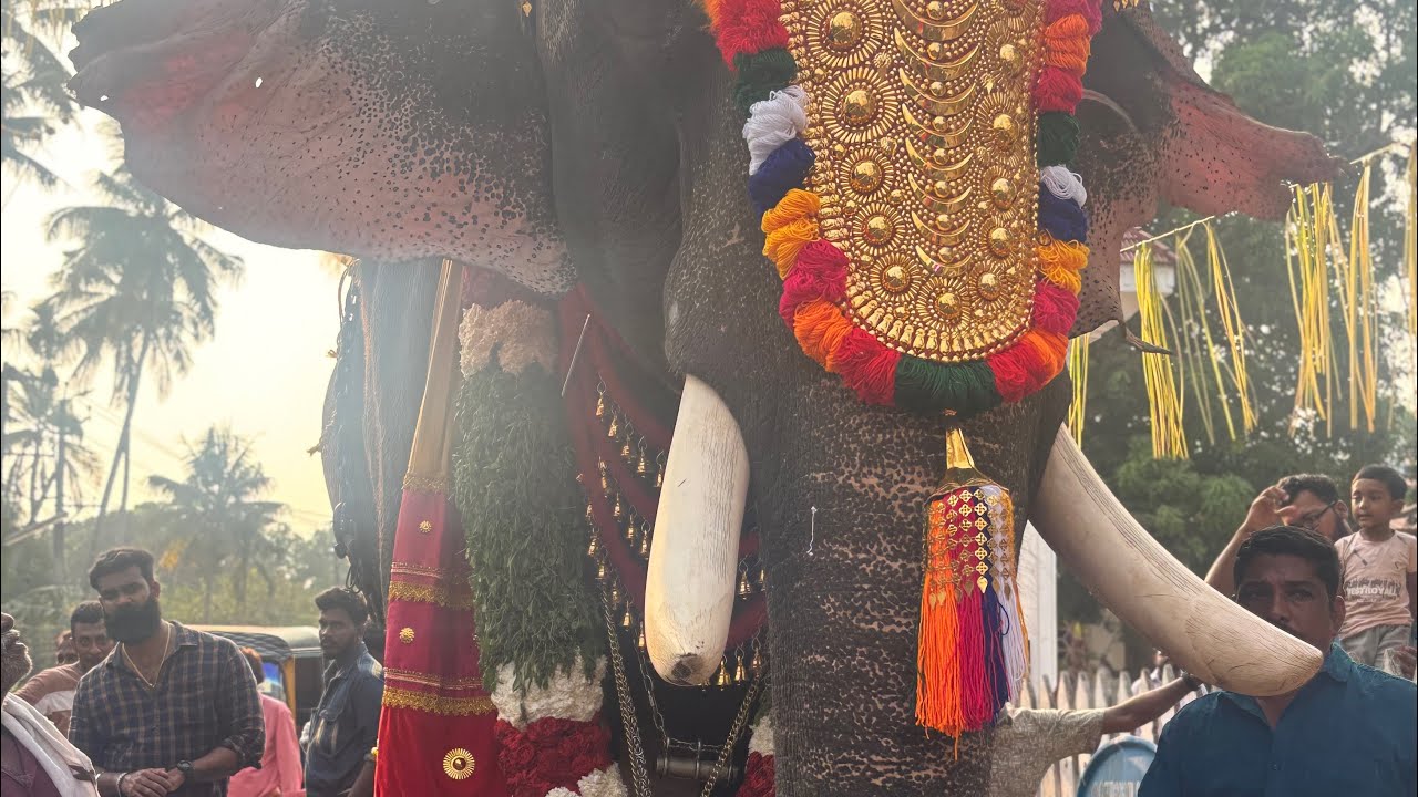 Thrikkadavoor shivaraju for thanniyam Desam somashekara temple Peringottukara