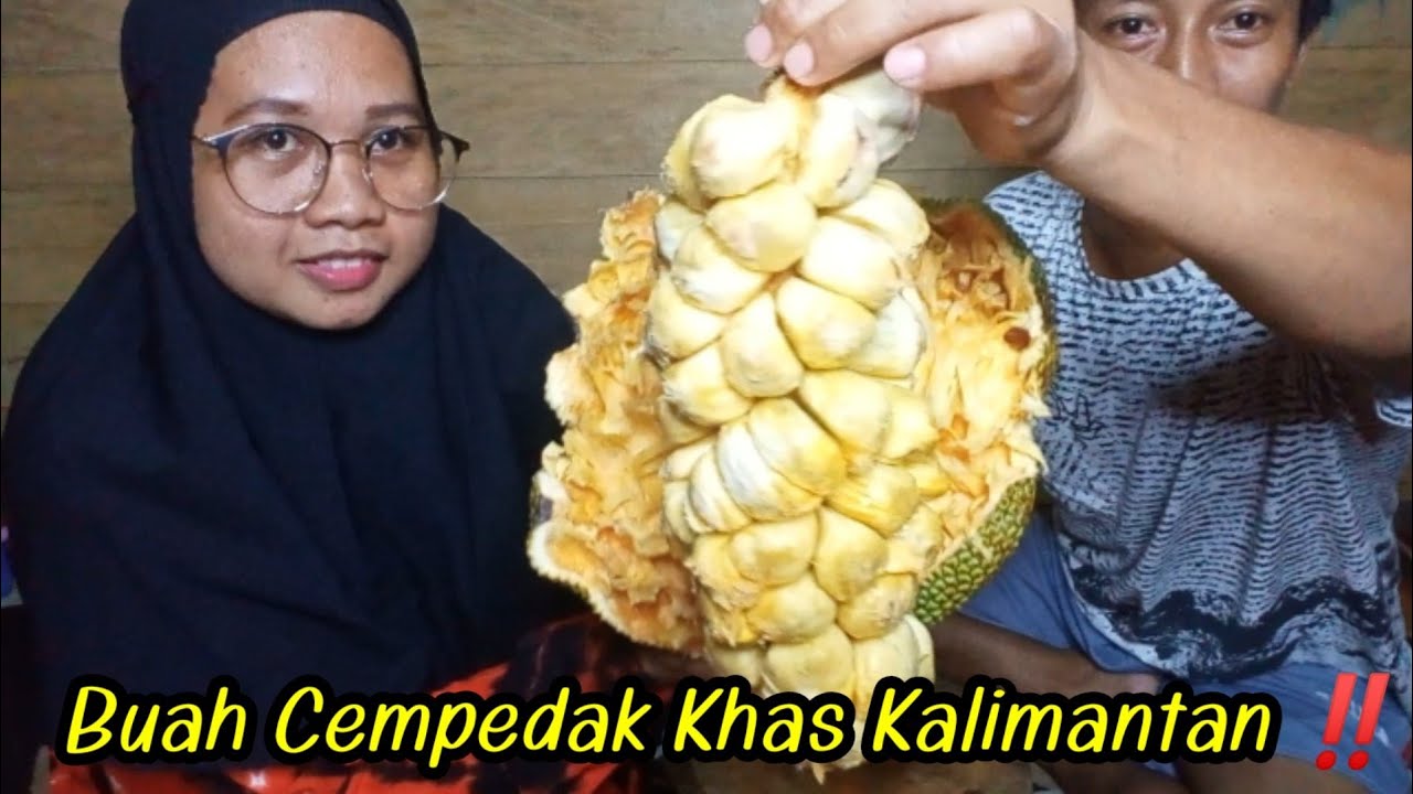 cempedak fruit health benefits‼️review buah khas kalimantan