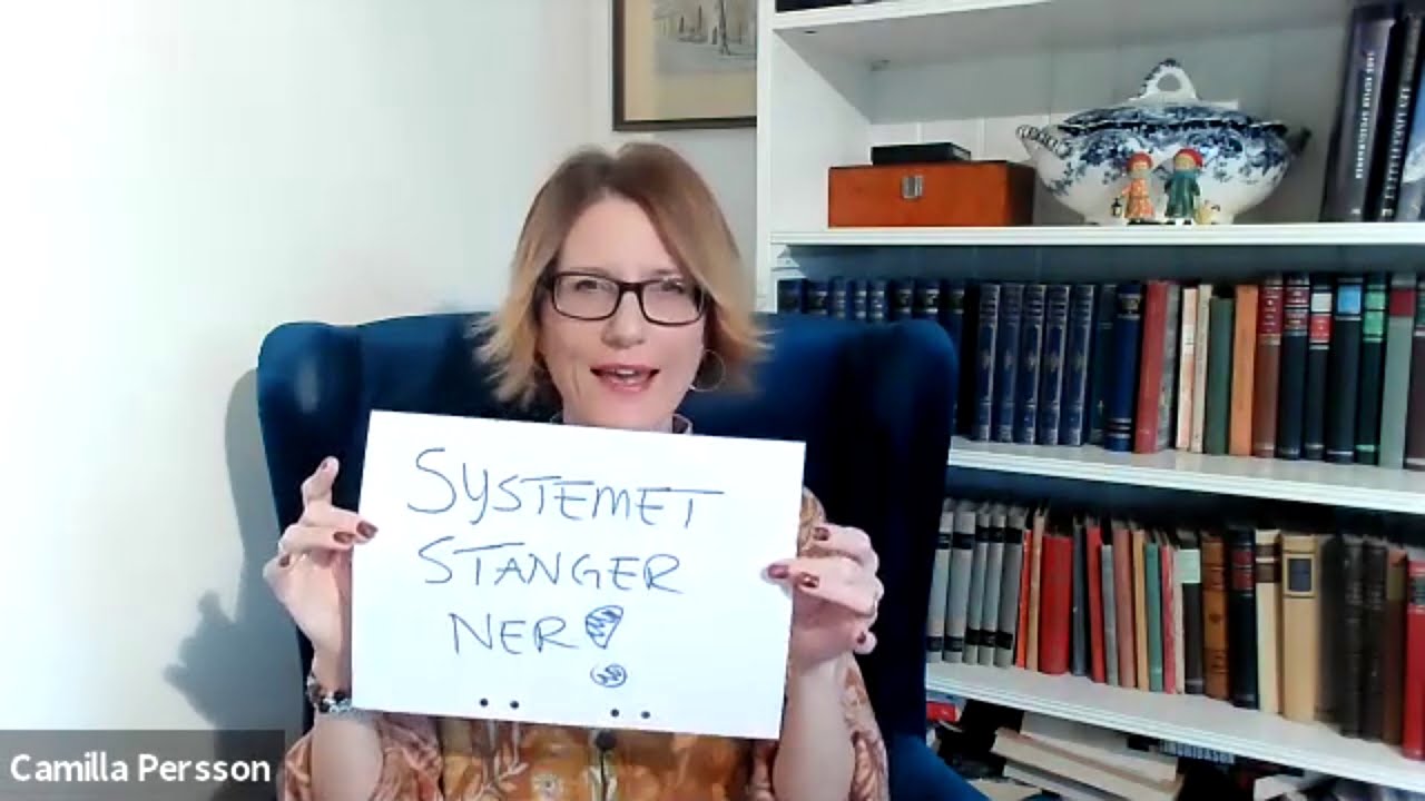 Systemteori   Camillas boktips