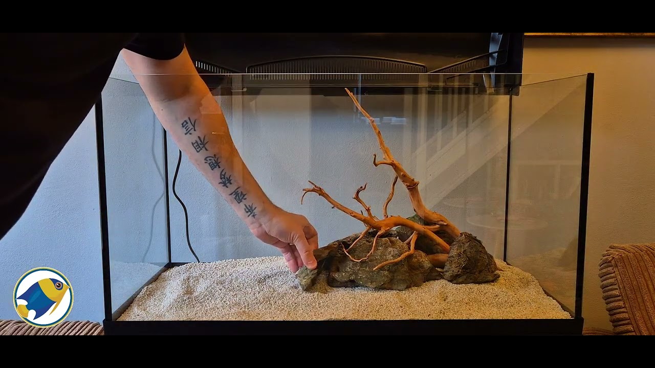 Tetra 105L Aquarium Aquascape Build