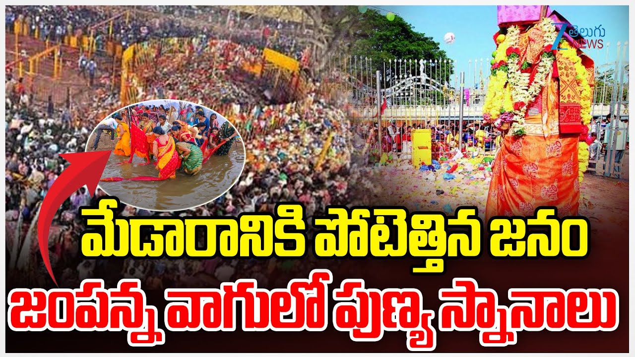 Jampanna Vagu History | Medaram Sammakka Sarakka Jatara | మేడారానికి పోటెత్తిన జనం | ZEE Telugu News
