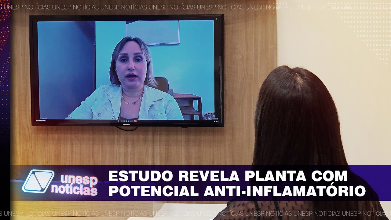 Estudo do IBB aponta planta brasileira como aliada no combate à inflamação