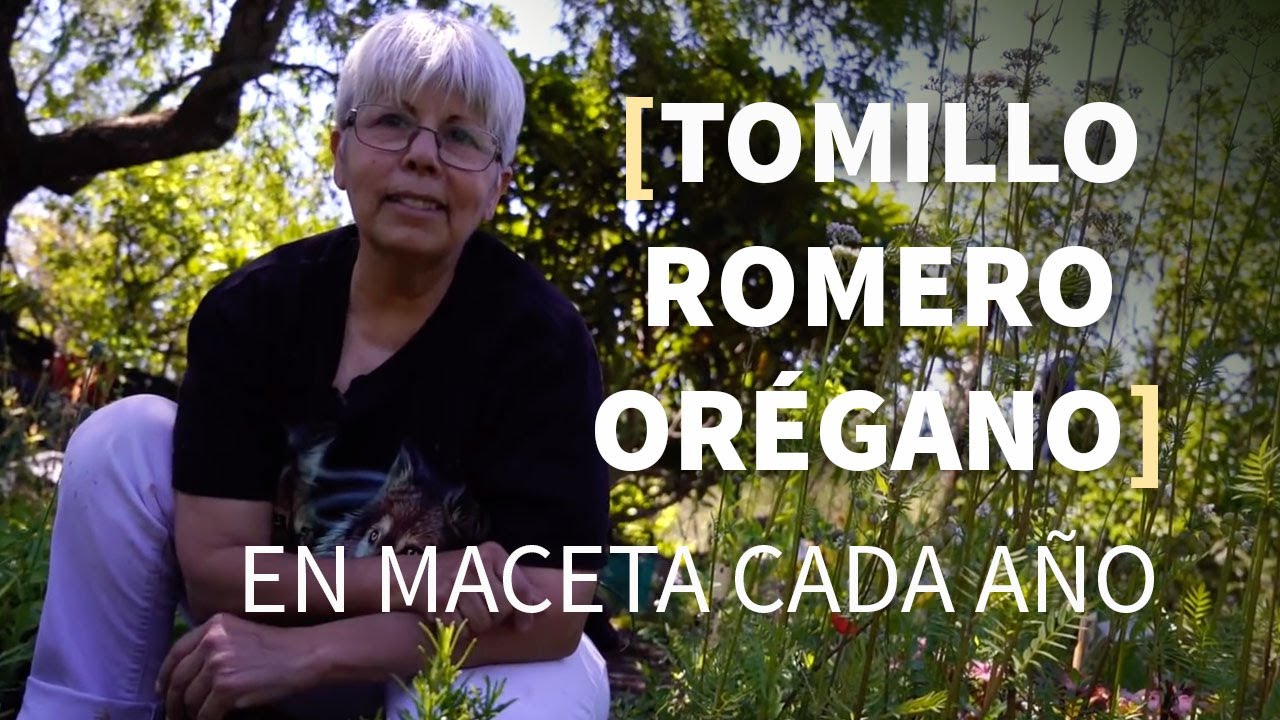 Consejos 🌱 TOMILLO, ROMERO y ORÉGANO todo el año