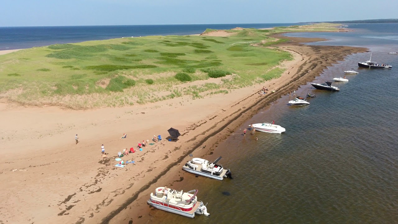 Drone Cavendish 1  privet side