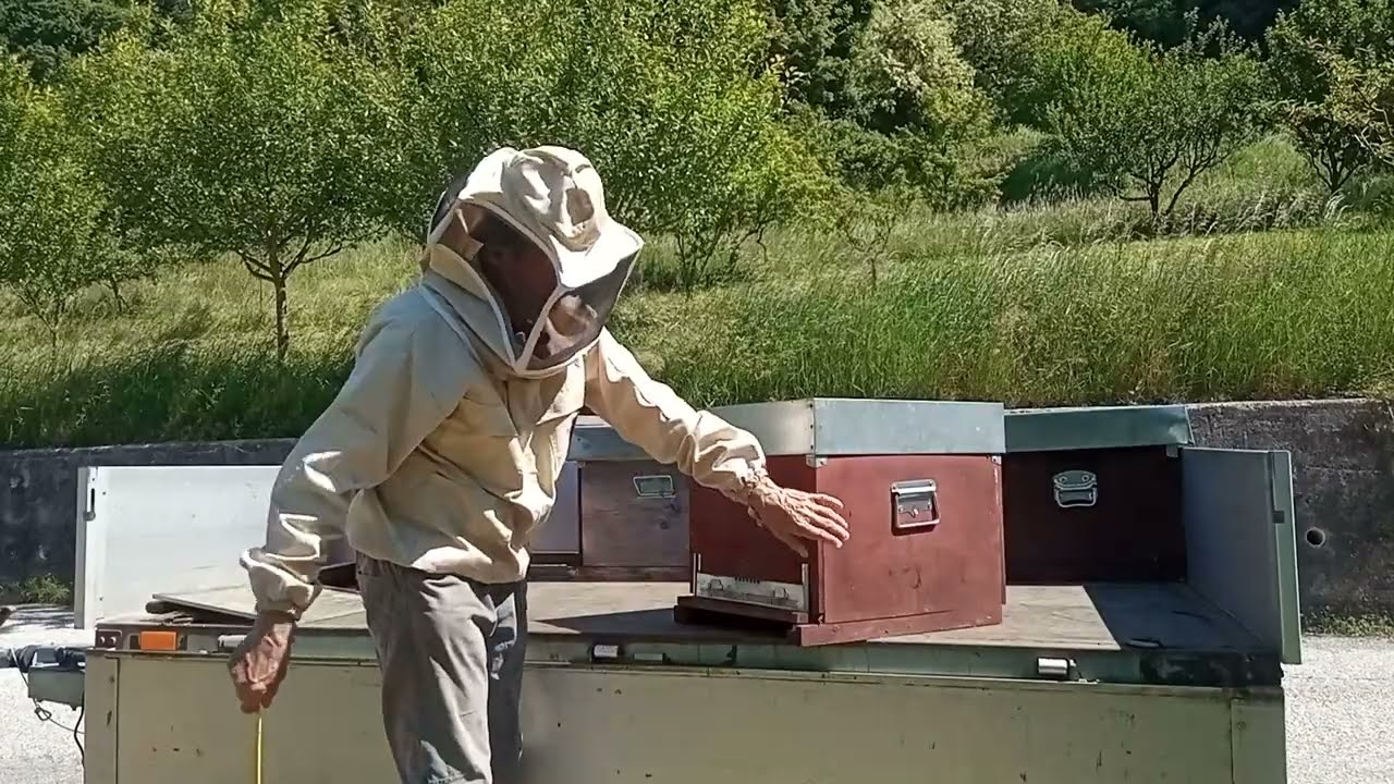 Nomadismo
