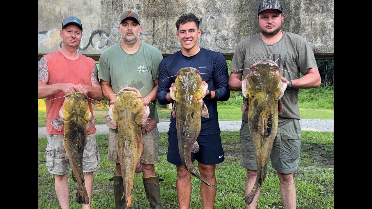 Georgia Catfishing Trip — Limb Lining River Monsters on the Savannah River