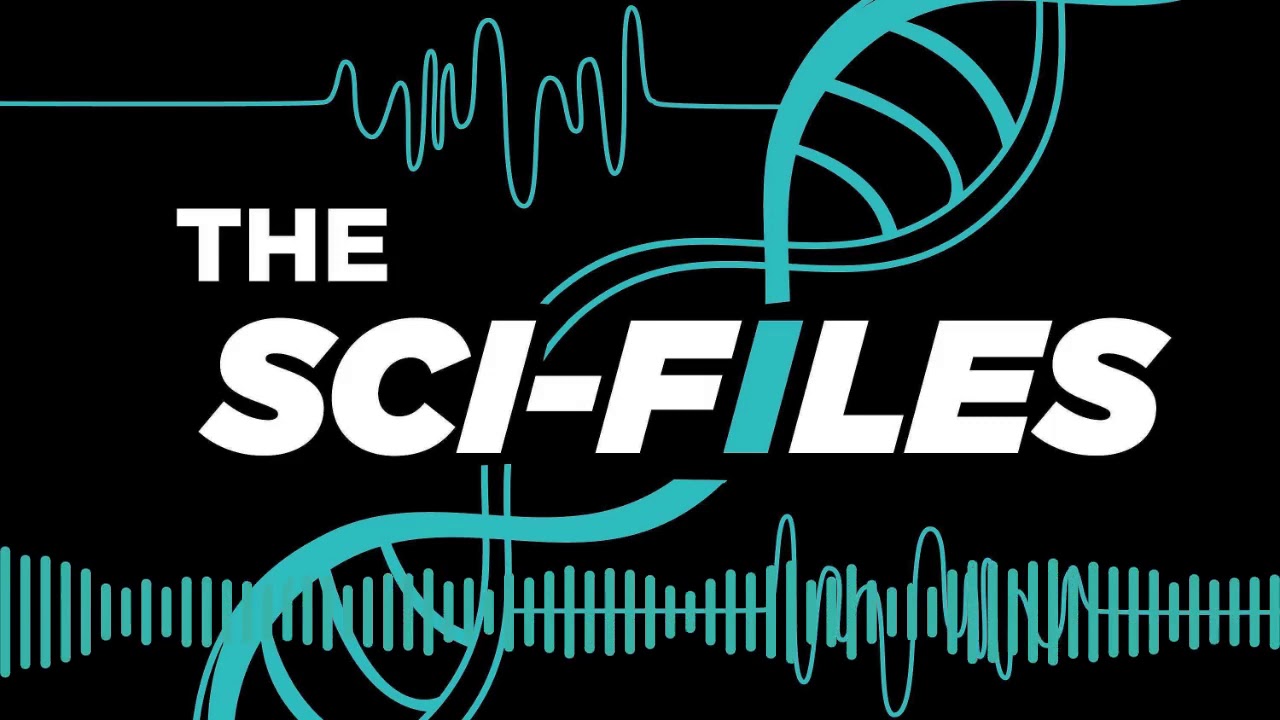 African Carnivores and Human Conflict - The Sci-Files on Impact 89FM - Full  Episode