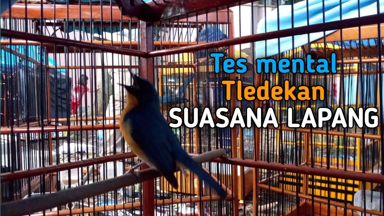 Mengetahui MENTAL TLEDEKAN 