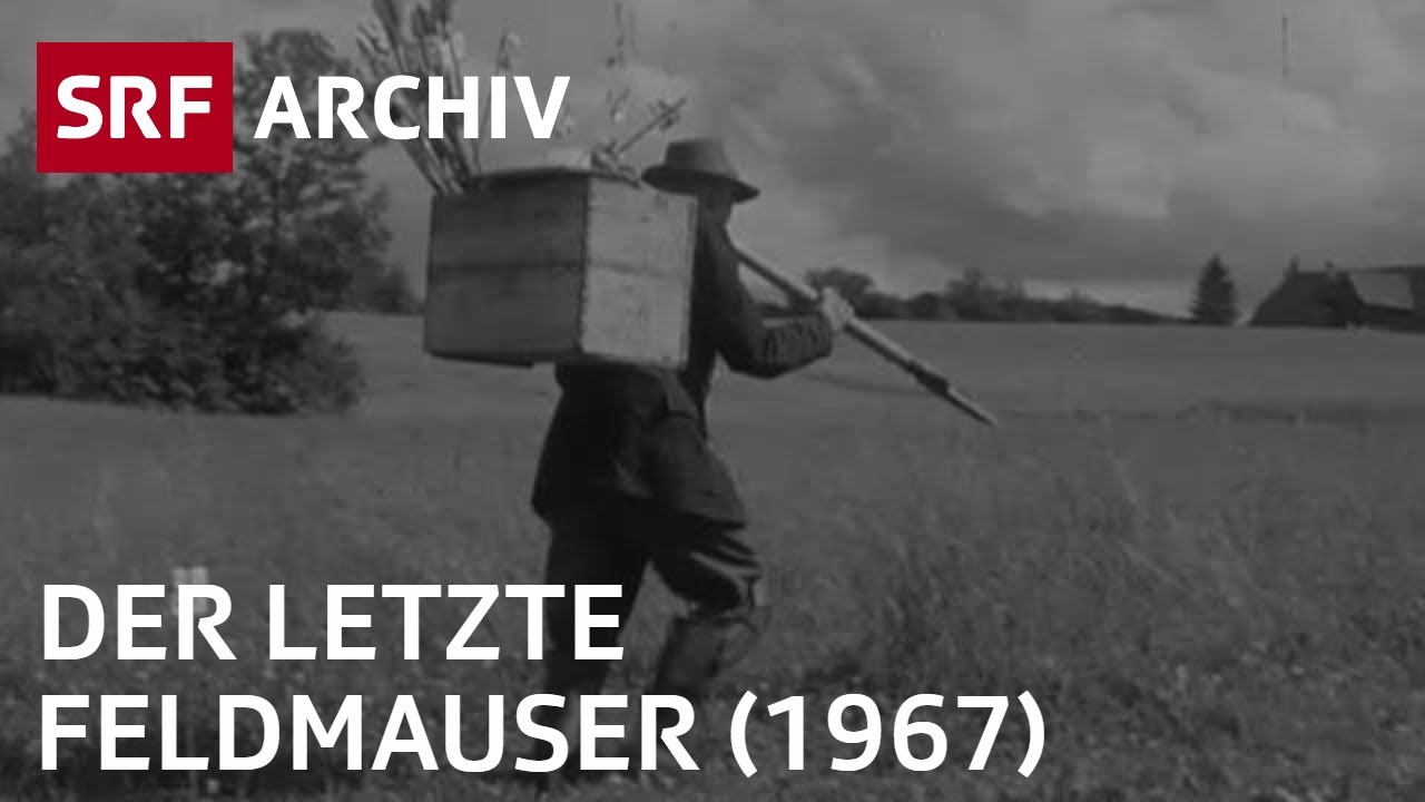 Beruf Feldmauser (1967) | Berufe die es so nicht mehr gibt | SRF Archiv