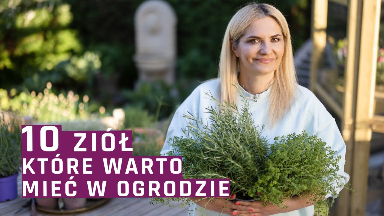 10 ziół które warto mieć w ogrodzie
