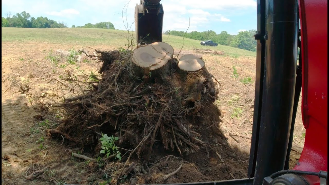 #15, Yanmar VIO55 Wrestling Big Stump