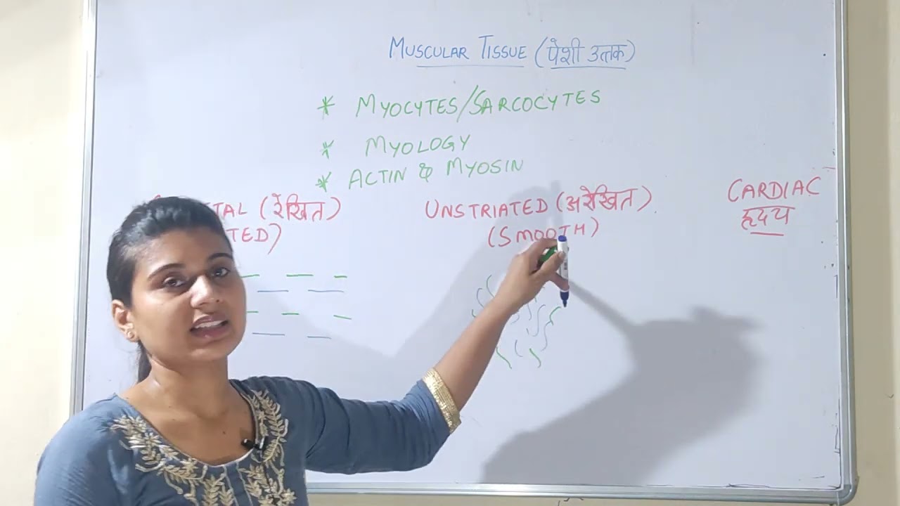 Muscular tissue in hindi पेशी उत्तक | Biology | Science #musculartissues #skeletalmuscle #tissue
