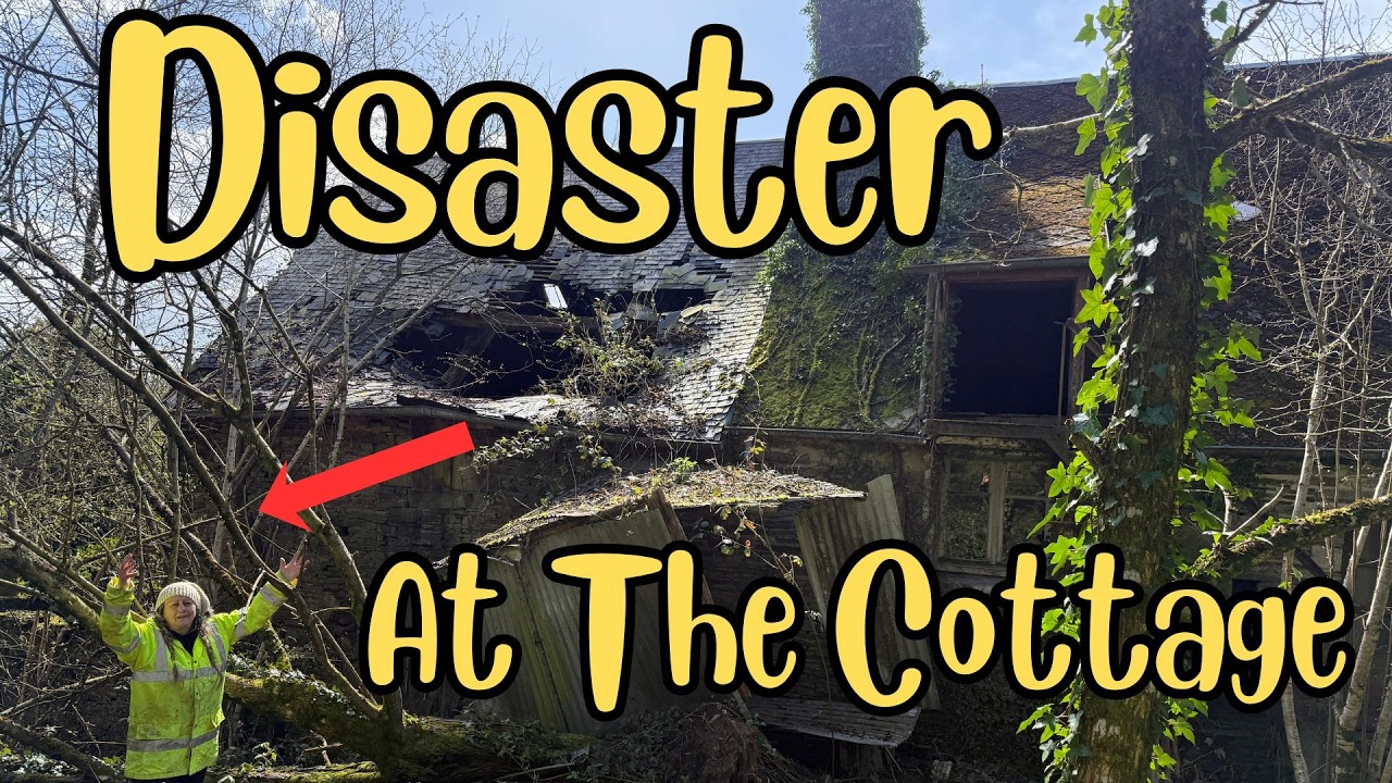 Disaster at the cottage