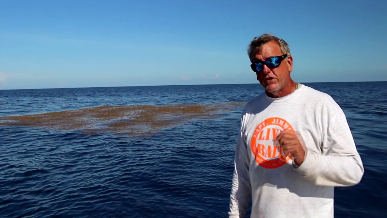 Understanding Miami's GPS Locations