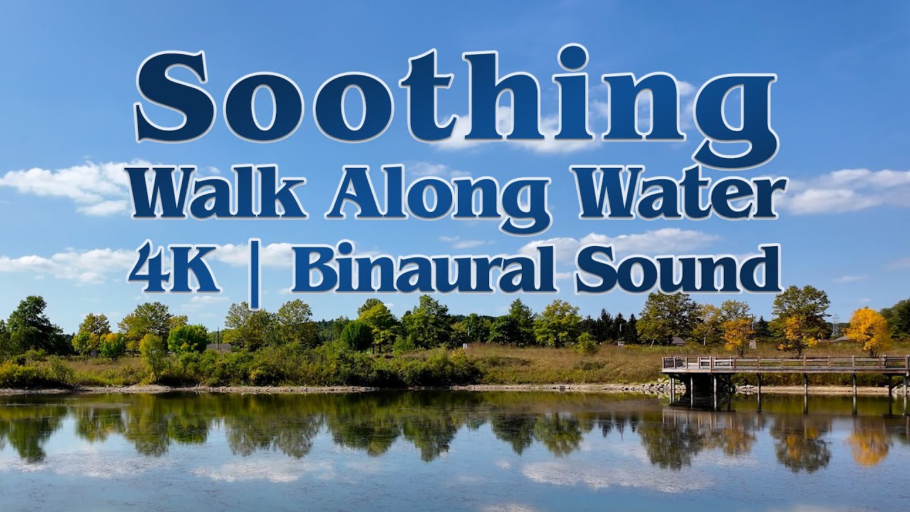 SOOTHING Walk Along Water | Treadmill Walk | Dog TV for Dogs to Watch | 4K POV | Binaural Sound