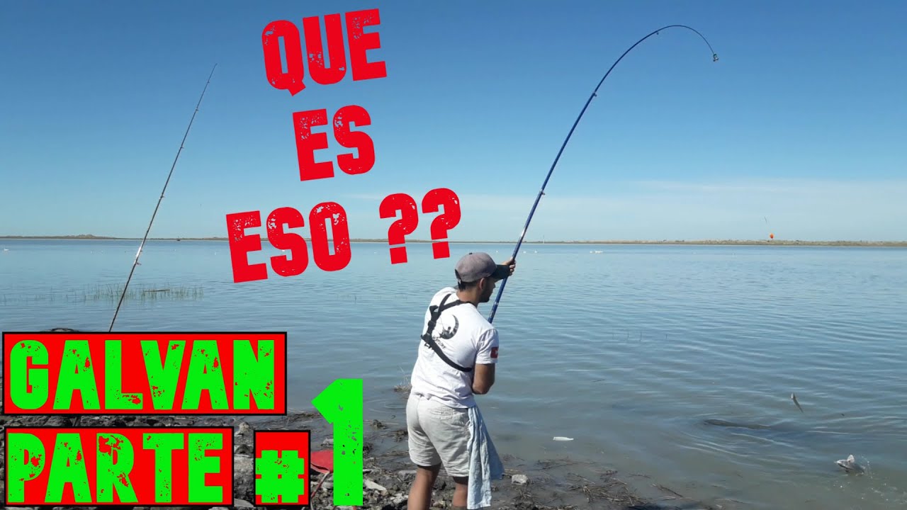 ⚠️PESCA variada de costa en el puerto de BAHIA BLANCA - #argentina ⚠️