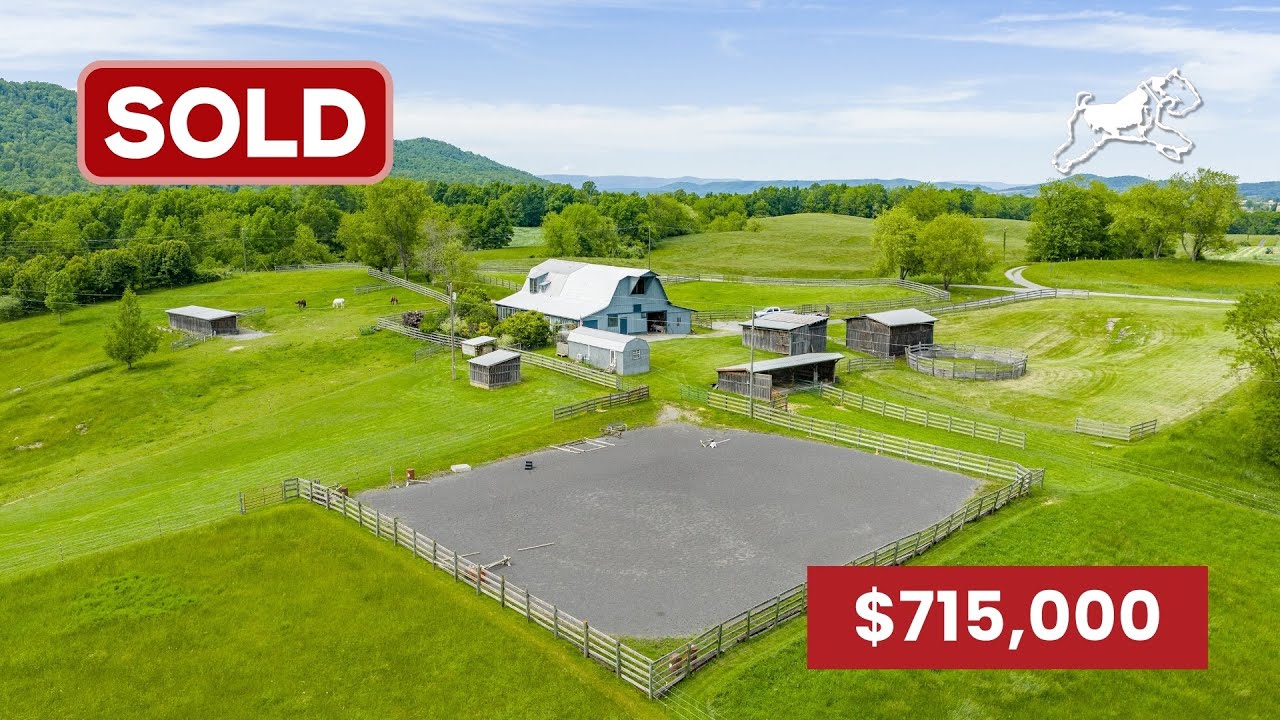 Sold - Blue Goose Horse Farm