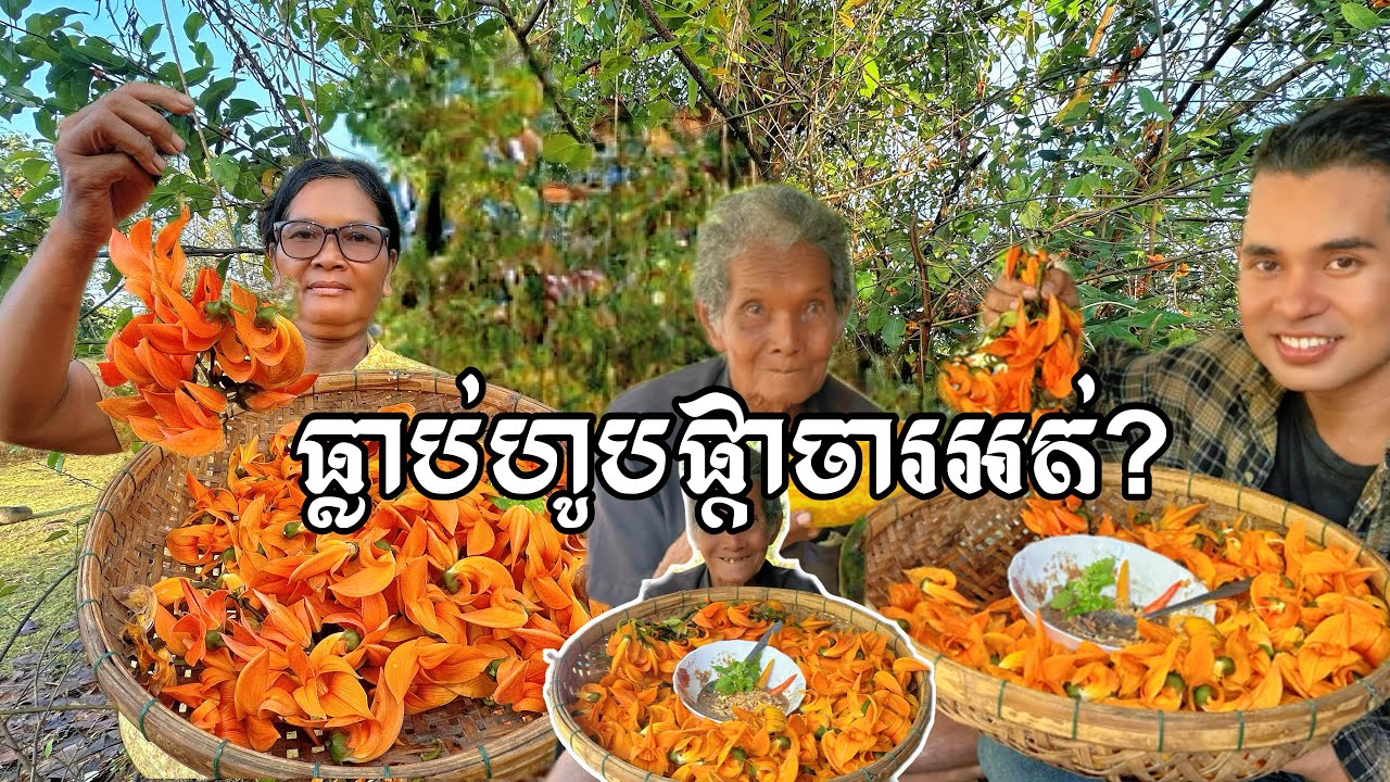 ស្រុកខ្ញុំផ្កាចារ គេយកមកធ្វើអន្លក់ហូបជាមួយទឹកគ្រឿង! ចុះស្រុកភូមិបងប្អួន!