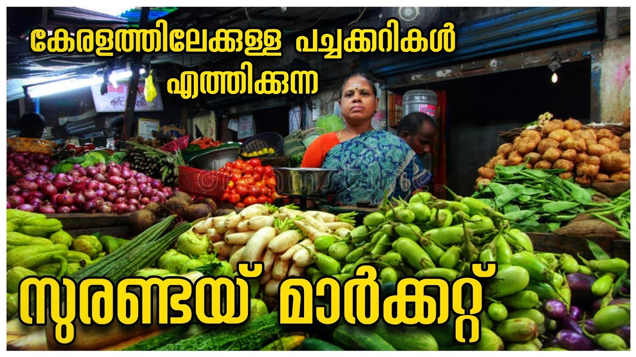 Surandai Market | Tamilnadu Village Trip | Exploring Rural Villages | Sundharapandyapuram |