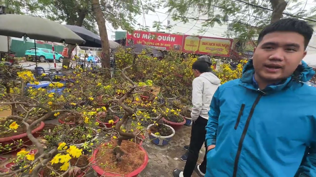 Chợ hoa tết Hà Nội 2025 - Giá Đào, Mai, Quất giá rẻ tại Long Biên vắng khách mua