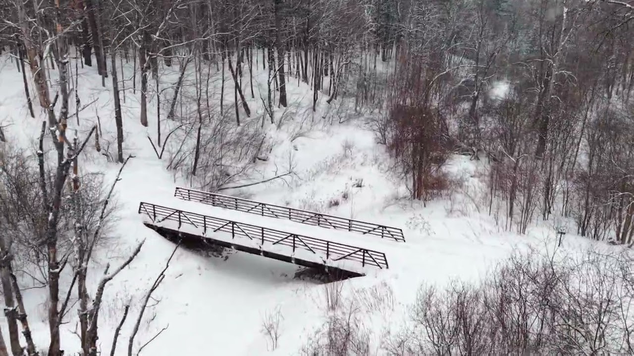 2026-02-25 Forêt du Sentier des Pionniers en hiver, Gatineau Québec Canada 