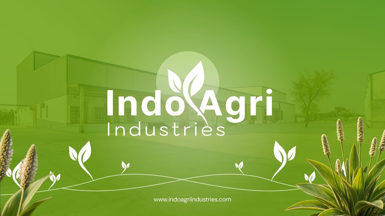 Psyllium Processing in India | Farm to Fork at Indo Agri Industries