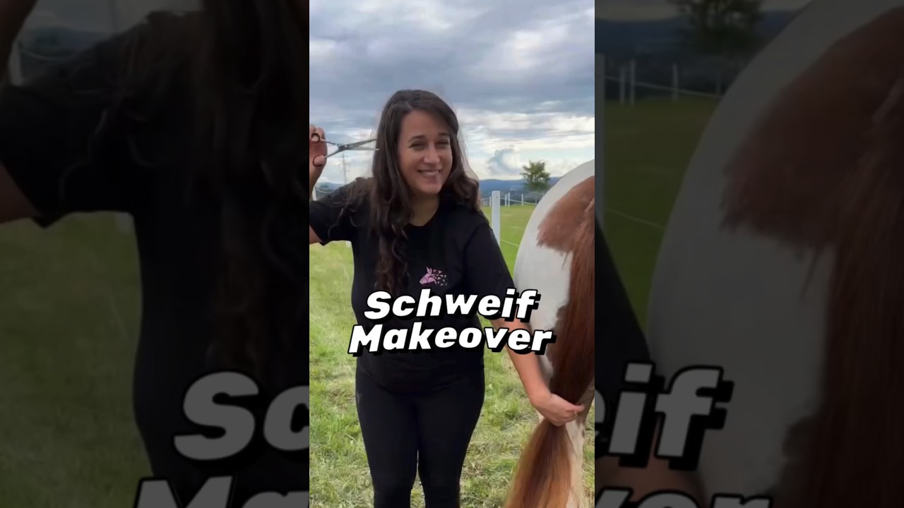 Schweif Makeover 🐴🦄Was sind deine Tipps f&uuml;r einen sch&ouml;nen Schweif ?