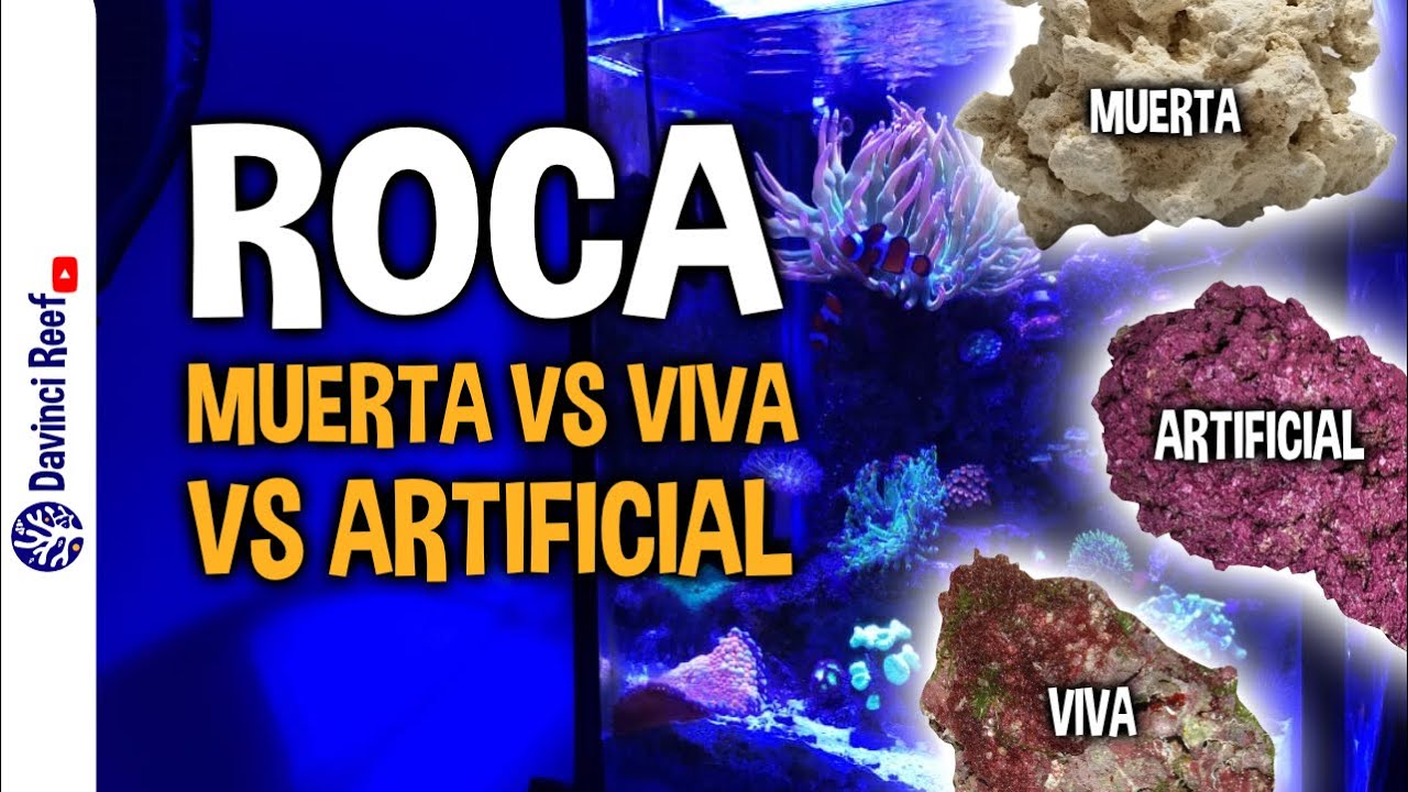 Rocas para tu Acuario Marino - Roca Muerta, Roca viva y Roca Artificial