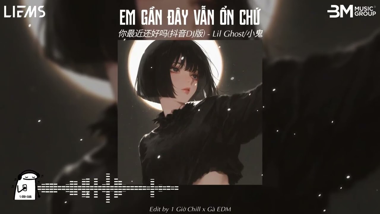 Em Gần Đây Vẫn Ổn Chứ - 你最近还好吗(抖音DJ版) - Lil Ghost/小鬼 || Nhạc Remix Chill Hot TikTok